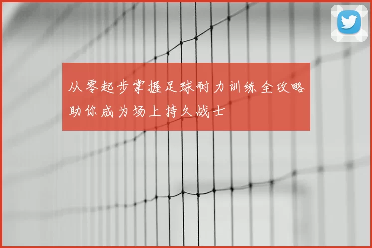 从零起步掌握足球耐力训练全攻略助你成为场上持久战士
