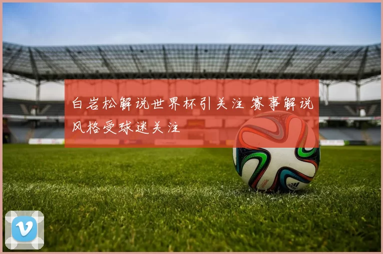 白岩松解说世界杯引关注 赛事解说风格受球迷关注
