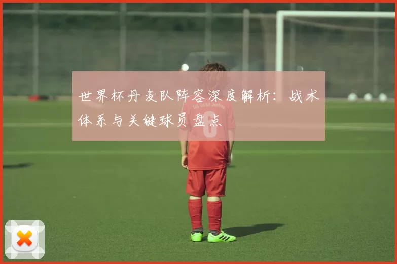世界杯丹麦队阵容深度解析：战术体系与关键球员盘点