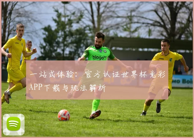 一站式体验：官方认证世界杯竞彩APP下载与玩法解析