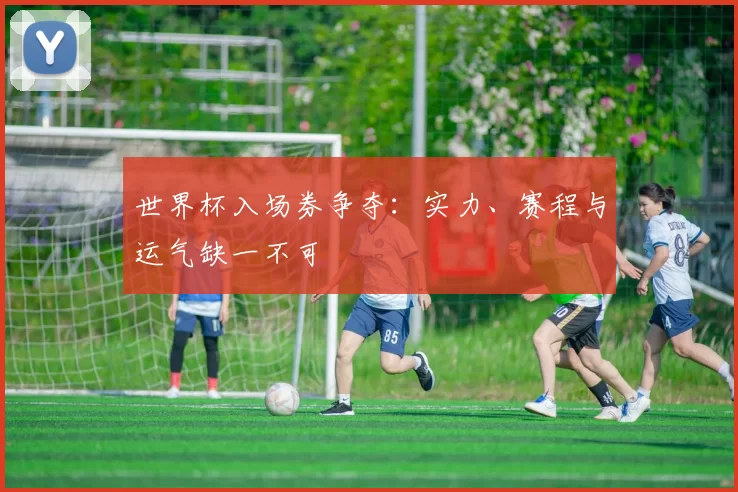 世界杯入场券争夺:实力、赛程与运气缺一不可
