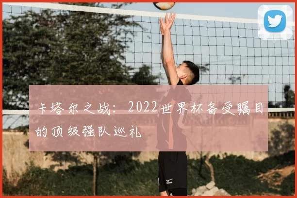 卡塔尔之战：2022世界杯备受瞩目的顶级强队巡礼