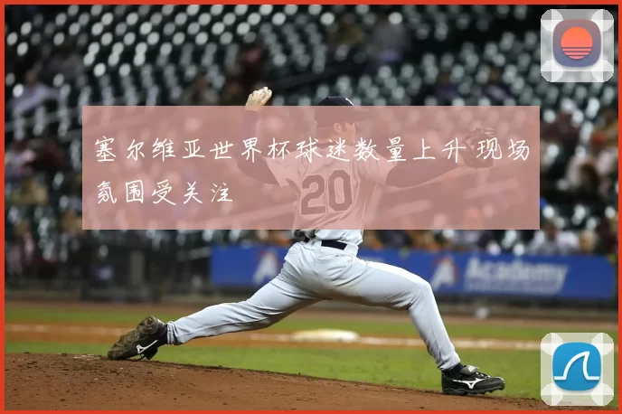 塞尔维亚世界杯球迷数量上升 现场氛围受关注