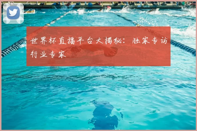 世界杯直播平台大揭秘：独家专访行业专家