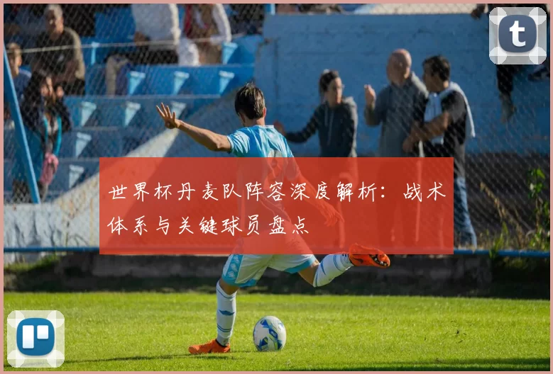 世界杯丹麦队阵容深度解析:战术体系与关键球员盘点