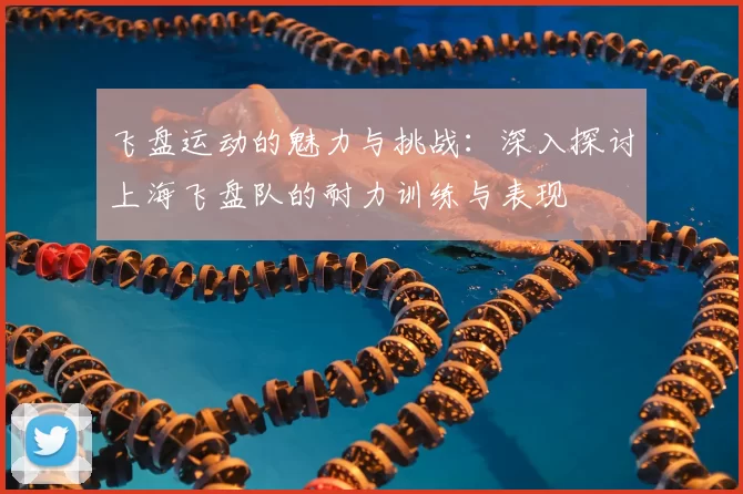 飞盘运动的魅力与挑战：深入探讨上海飞盘队的耐力训练与表现