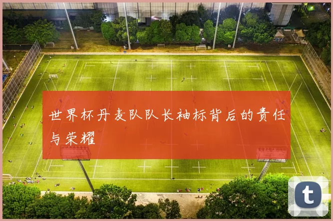 世界杯丹麦队队长袖标背后的责任与荣耀