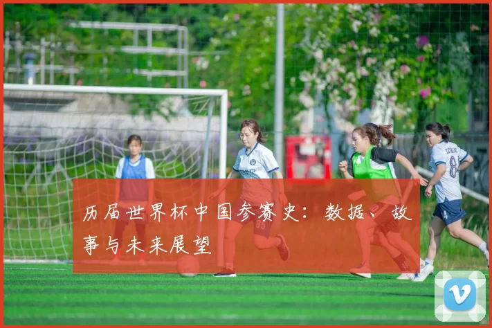 历届世界杯中国参赛史：数据、故事与未来展望