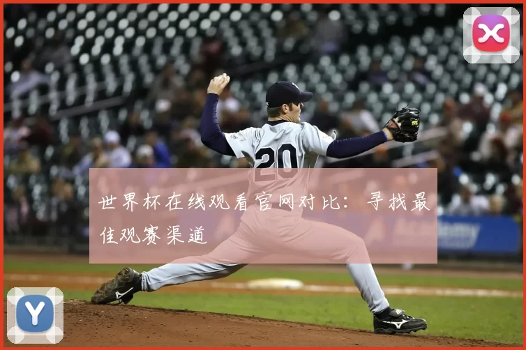 世界杯在线观看官网对比:寻找最佳观赛渠道