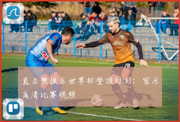 直击樊振东世界杯登顶时刻：官方高清比赛视频