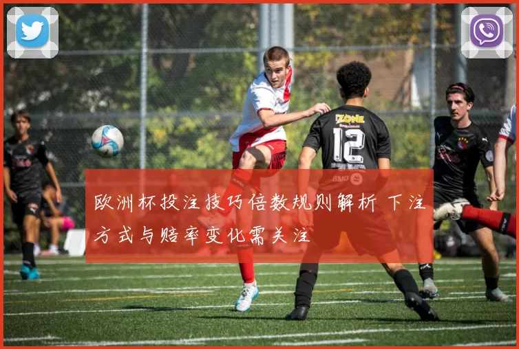 欧洲杯投注技巧倍数规则解析 下注方式与赔率变化需关注