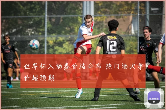 世界杯入场券价格公布 热门场次票价超预期