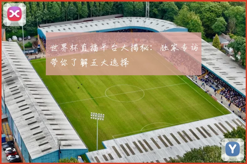 世界杯直播平台大揭秘：独家专访带你了解五大选择